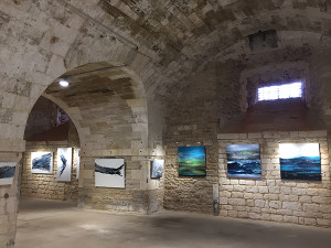 Exposition du 24 août au 6 sept. 2020 à la Citadelle d’Oléron - Catherine Mourier-Godin